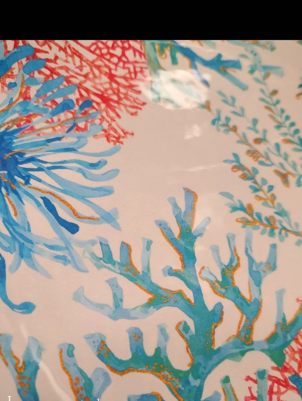 4 Sigrid Olsen Melamine Sea Coral Colorful Indoor Outdoor Dinner Plates Set New - Picture 3 of 5